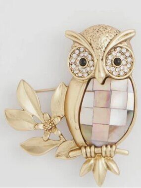 NWT CHICO'S GOLDTONE OWL BROOCH.
